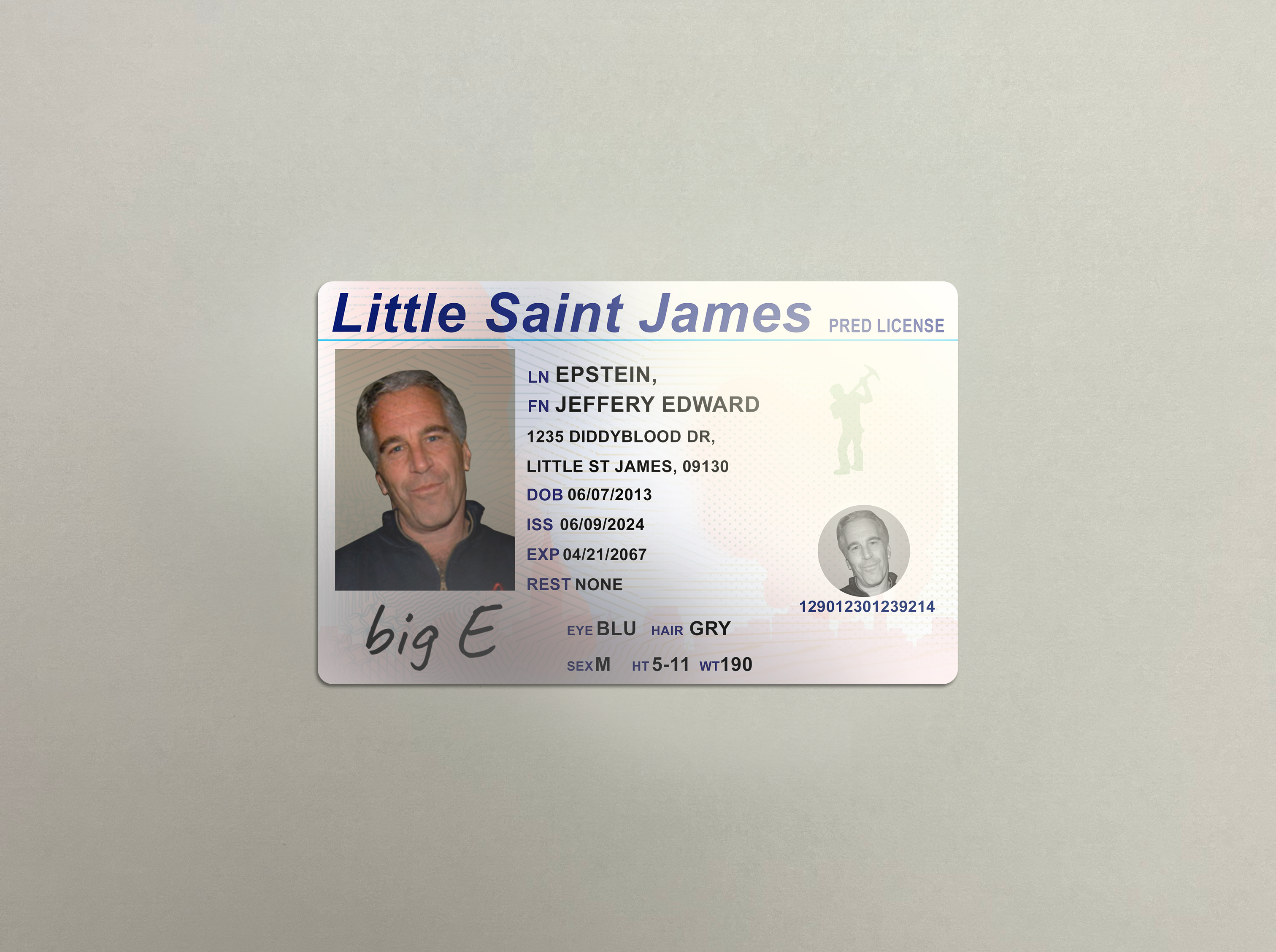 Jeffrey Epstein ID